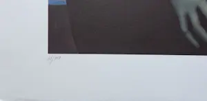 Jef van Tuerenhout - HALFNAAKTE VROUW / KLEURZEEFDRUK / 80x60cm / SIG kopen? Bied vanaf 90!