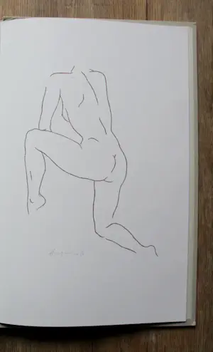 Harry van Kuyk - Zeefdruk: naakt - 1996 kopen? Bied vanaf 150!