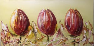 Gena - Tulpen kopen? Bied vanaf 200!