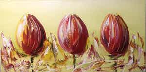 Gena - Tulpen verkocht voor € 200!