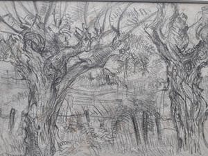 Chris Jansen - Wilgenbomen. kopen? Bied vanaf 45!