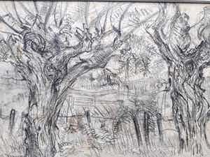 Chris Jansen - Wilgenbomen. verkocht voor € 45!