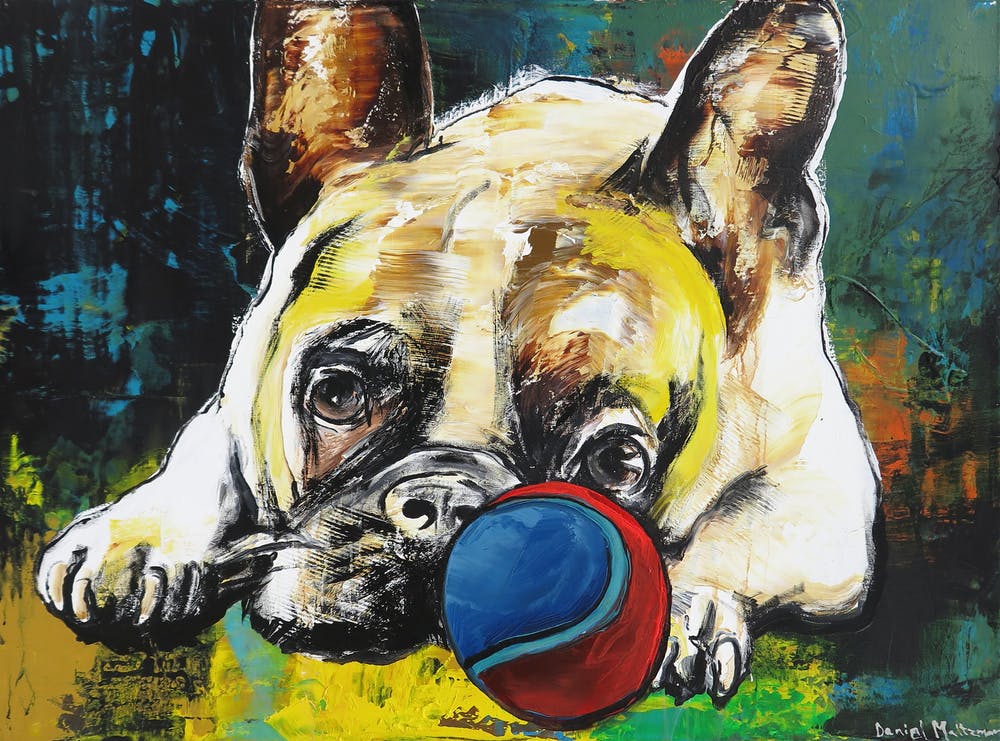 Daniel Maltzman (1963)