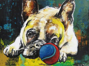 Daniel Maltzman - Acryl op doek, Dog with ball kopen? Bied vanaf 1!