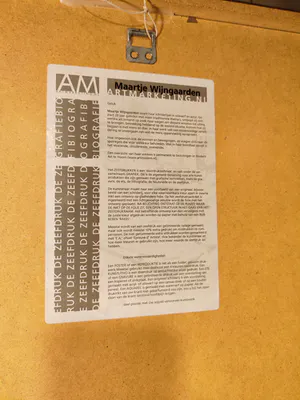 Maartje Wijngaarden - Geluk kopen? Bied vanaf 30!