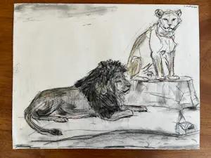 Cornelis Jan Mension - Tekening van een rustende leeuw en leeuwin, gemaakt in Artis kopen? Bied vanaf 85!