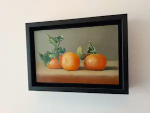 Hans Habraken - Mandarijnen kopen? Bied vanaf 179!