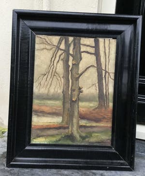 Mar Diemel - C4339 - Studie naar bomen kopen? Bied vanaf 50!