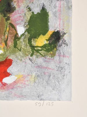 Charlotte Molenkamp - Vogel kopen? Bied vanaf 125!