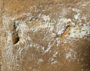 Raffaele Rossi - Gemengde techniek op koper, Notte kopen? Bied vanaf 1!