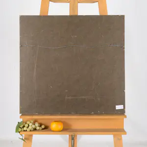 Frans van der Heide - Duivenhouder bij Sint Kruis kopen? Bied vanaf 200!