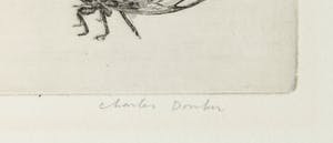 Charles Donker - Ets, Insecten kopen? Bied vanaf 100!