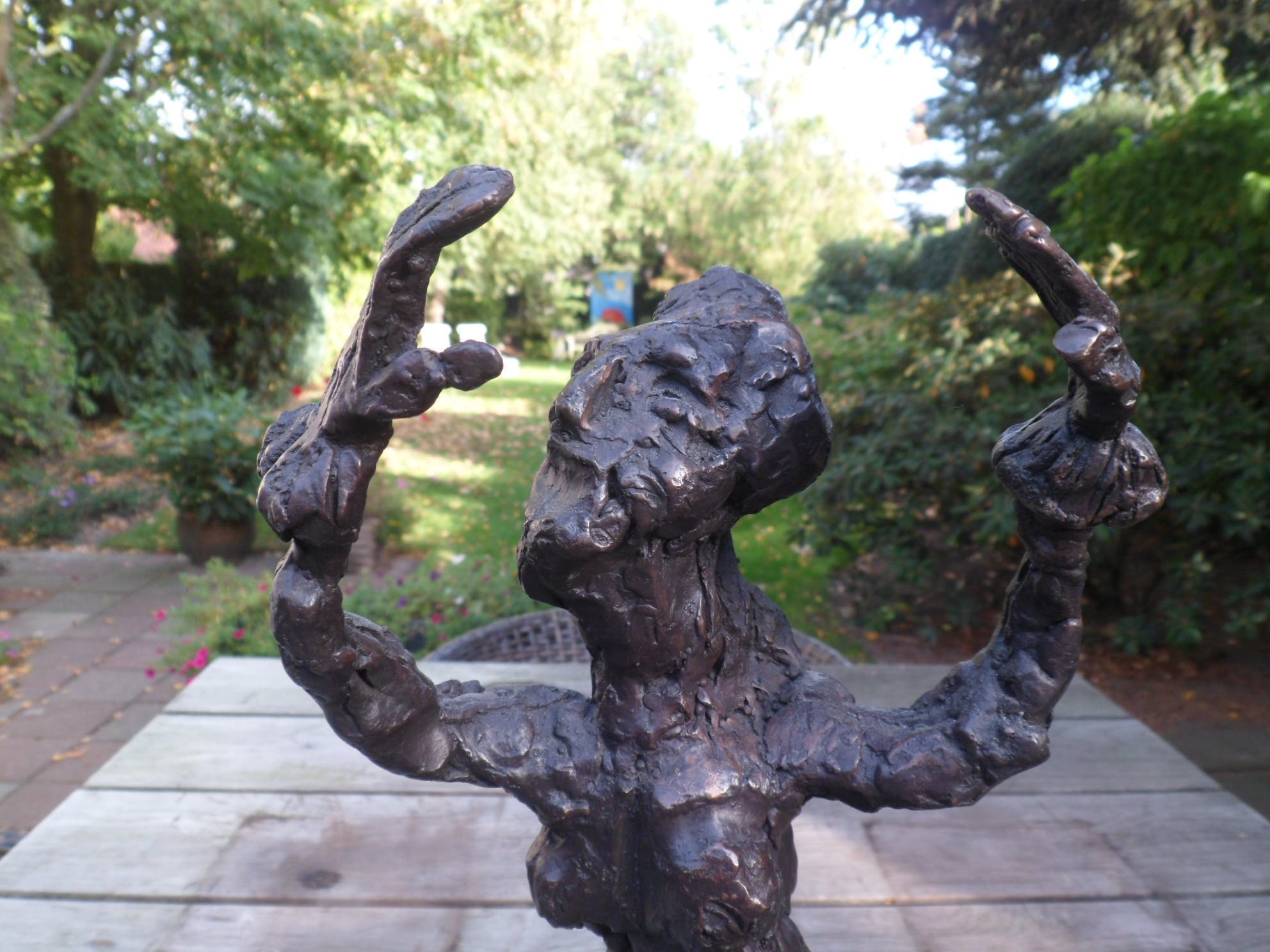 Jan Sierhuis - Flamengo Spaanse dans.Jubileum uitgave! kopen? Bied vanaf 875!