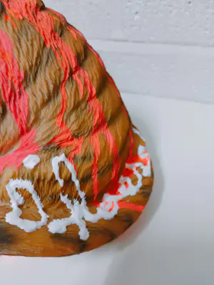 Hannes D'Haese - Tijger welp kopen? Bied vanaf 1!