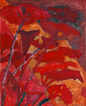 Hans Ebeling Koning - Groot hoefblad in rood kopen? Bied vanaf 100!