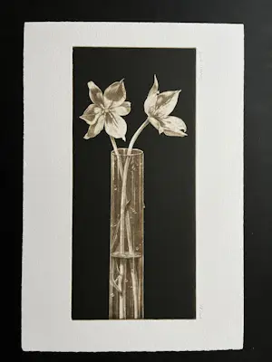 Jan Peter Tripp - Wilde Tulpen - Signierte und nummerierte Original Aquatinta Radierung kopen? Bied vanaf 160!