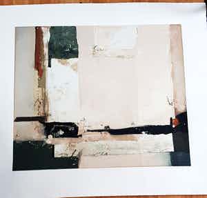 Ron van der Werf - Terra 1 verkocht voor € 100!