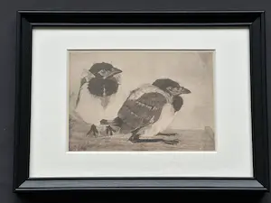 Jan Mankes - Heliogravure " Jonge eksters " kopen? Bied vanaf 125!