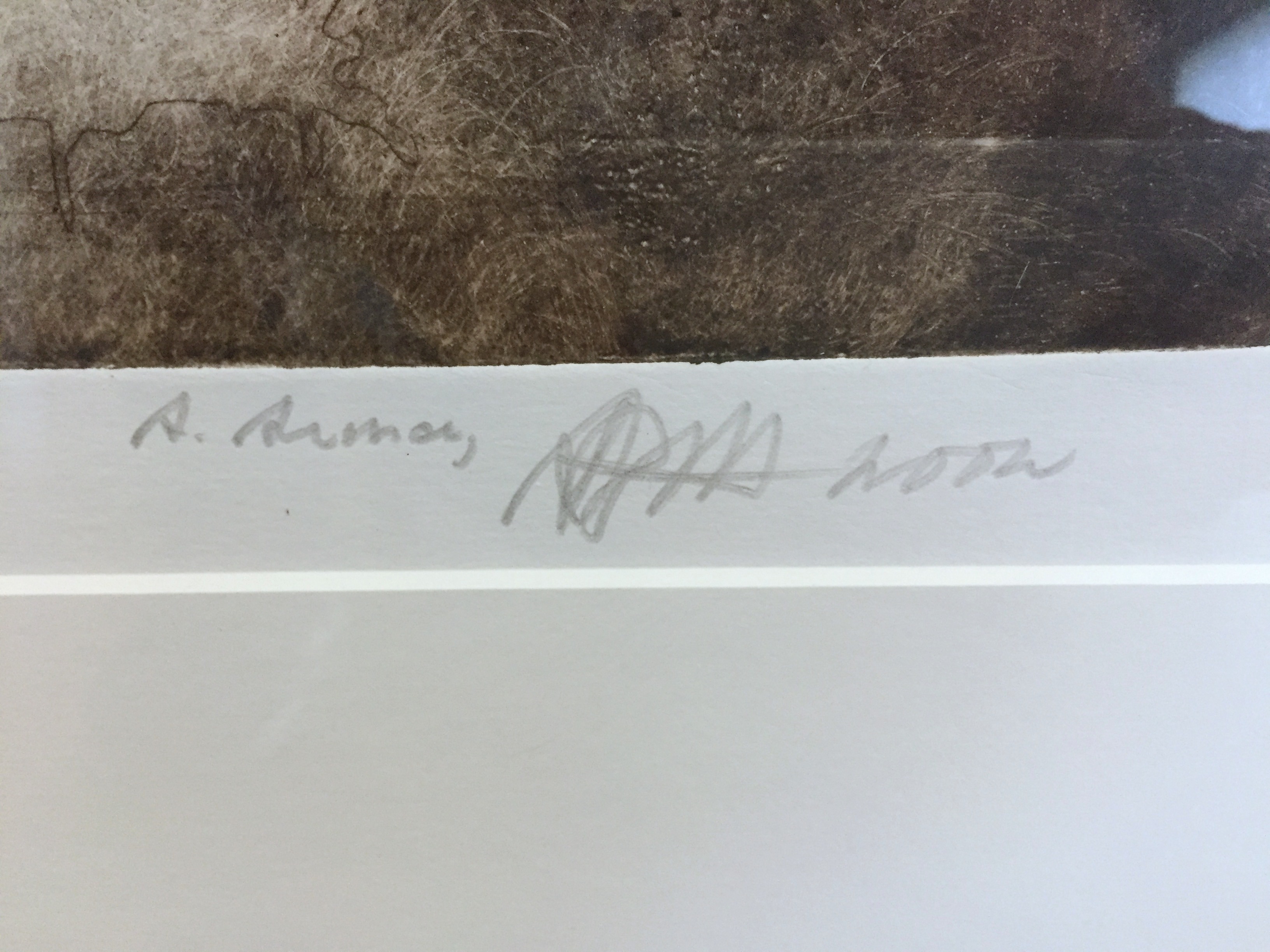 Ad Arma - Dancing The Raincloud (grote kleuren-ets / oplage 18 nr 2) kopen? Bied vanaf 300!