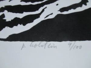 Pieter Holstein - Grote litho kopen? Bied vanaf 50!