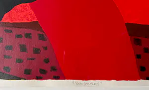 Ronald Boonacker - Rooibosbult kopen? Bied vanaf 40!