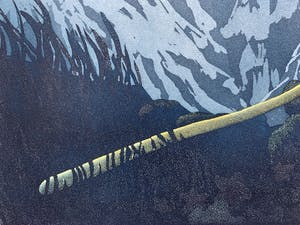 Sjoerd Bakker - kleurenets - 'De staf van de reiziger' - 1994 kopen? Bied vanaf 60!