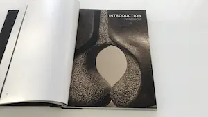 Jos van Vreeswijk - “Imagine: sculptures - paintings” (monografie) kopen? Bied vanaf 100!