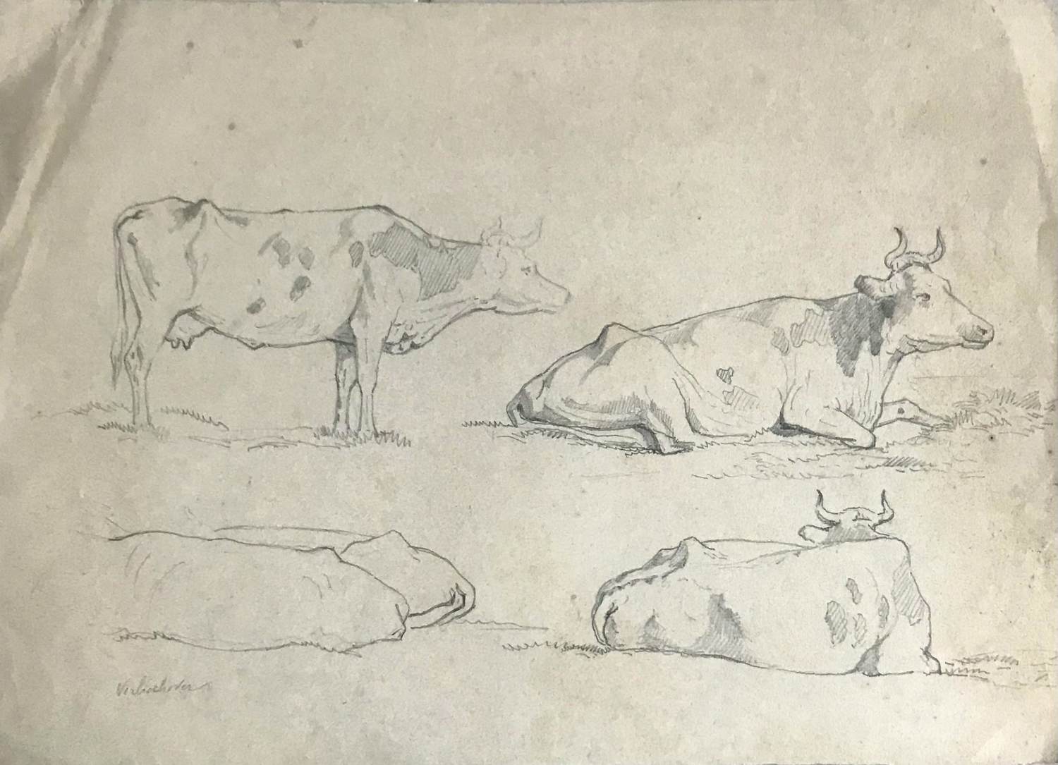 Eugene Joseph Verboeckhoven - Dieren (lot van 8) kopen? Bied vanaf 75!