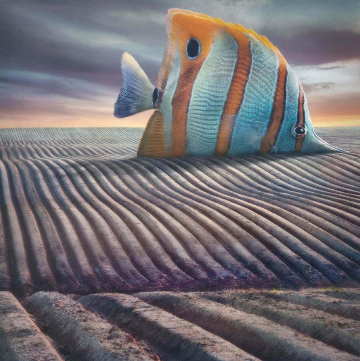 Dariusz Klimczak - 'Grote Vis' (2012) kopen? Bied vanaf 70!