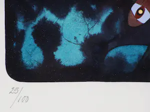 Hollie Witteveen - Nachtvlucht kopen? Bied vanaf 25!