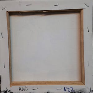 Anke Peddemors - ans v22 kopen? Bied vanaf 17!