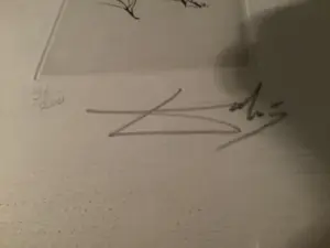 Salvador Dali - Vrouw kopen? Bied vanaf 120!