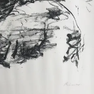 Willy Rieser - Prachtige gesigneerde kleurenlitho/steendruk - 19/50 - "Dode zee bij Masada" kopen? Bied vanaf 1!