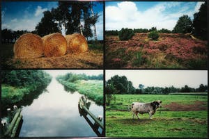 Paul Huf - C-Print, Natuur - Ingelijst (Groot) kopen? Bied vanaf 1!