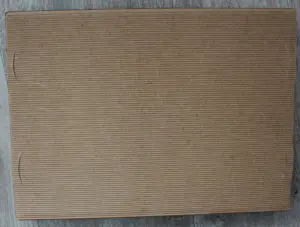 Auke de Vries - beeld van verzinkte plaat (laatste exemplaar!) - 2005 kopen? Bied vanaf 375!