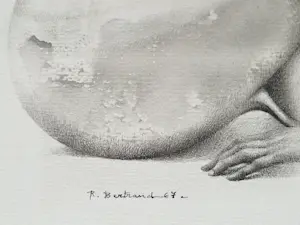 Raymond Bertrand - erg mooie (sur)realistische potlood/inkt tekening "vrouwelijk naakt slak" kopen? Bied vanaf 67!