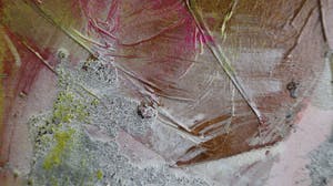 Claus Costa - Marilyn Monroe kopen? Bied vanaf 225!