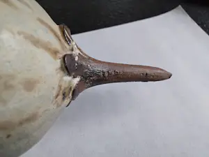 Iet Cool-Schoorl - Zaadbol kopen? Bied vanaf 50!