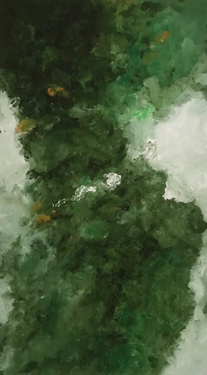 Armando - Kleurrijke Giclée - Waldig - 2018 - 23/25 - Gesigneerd kopen? Bied vanaf 115!