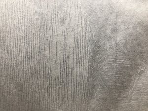 Jan Mankes - Houtsnede Zwarte Kraai - Gesigneerd - 1918 kopen? Bied vanaf 465!