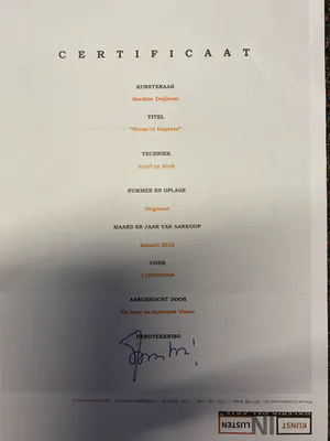 Gerdine Duijsens-Kroeze - Dress to Impress kopen? Bied vanaf 1250!