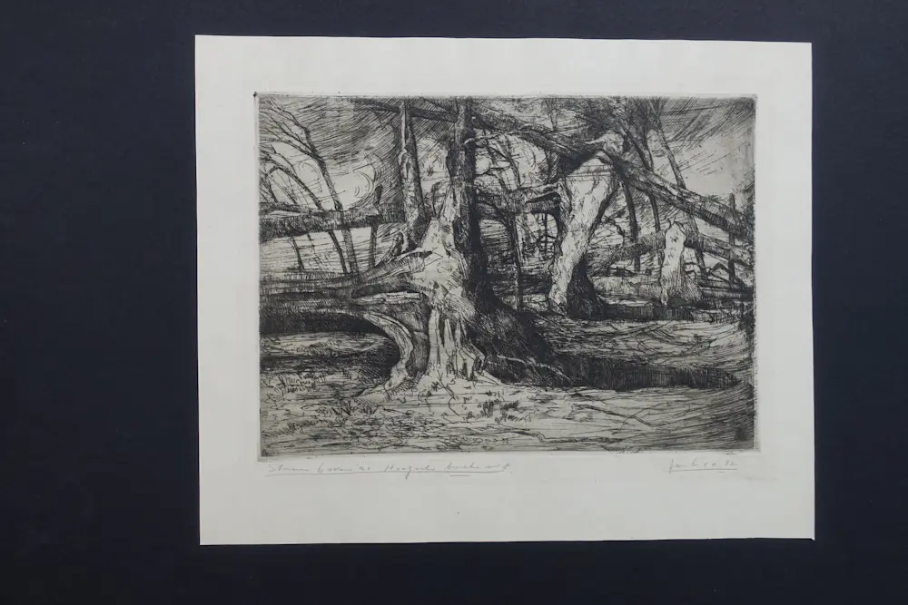 Jan Cornelis van der Ven (1896-1930)