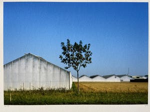 Anton Staartjes - zonder titel kopen? Bied vanaf 15!