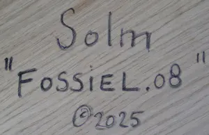 Eric van Solm - ' Fossiel.08 ' kopen? Bied vanaf 375!