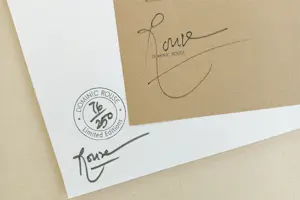 Dominic Rouse - Vissen kan & Vissen kan niet (2011) - Twee prenten kopen? Bied vanaf 140!