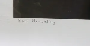 Bert Houweling - Foto, Rozen 4 - Ingelijst kopen? Bied vanaf 1!