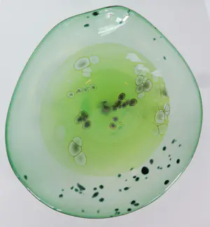 Willem Heesen - Glasobject, Groene schaal met patroon kopen? Bied vanaf 200!