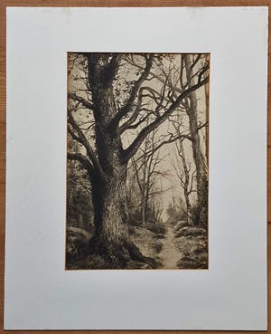 Niet of onleesbaar gesigneerd - landscapes kopen? Bied vanaf 1!