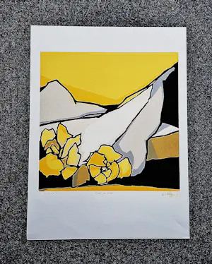 Fon Klement - Grote boardsnede "hymne au soleil" beperkte oplage (125) - nieuwstaat kopen? Bied vanaf 68!