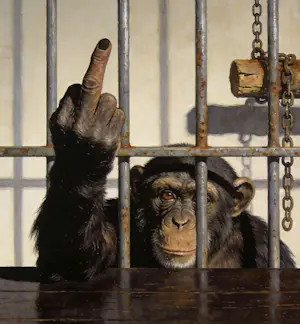 Mr Strange - Fuck You! kopen? Bied vanaf 85!